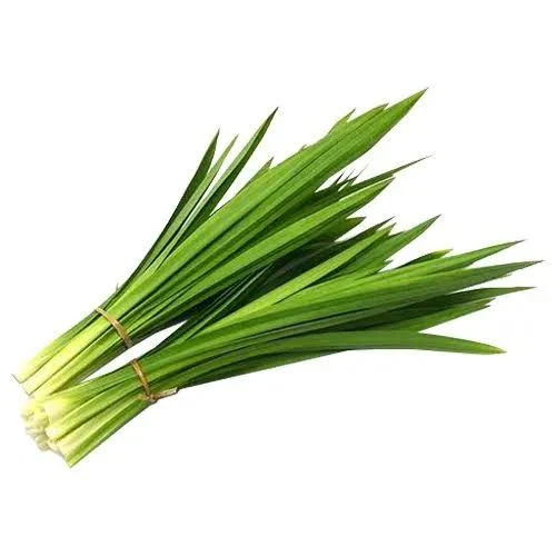 PANDA LEAVES 200G