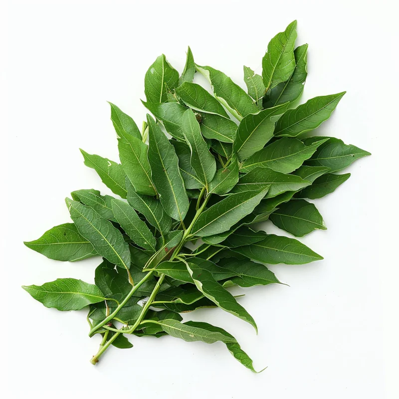 CURRY LEAVES 1X50G