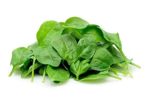 BABY SPINACH 1X200G